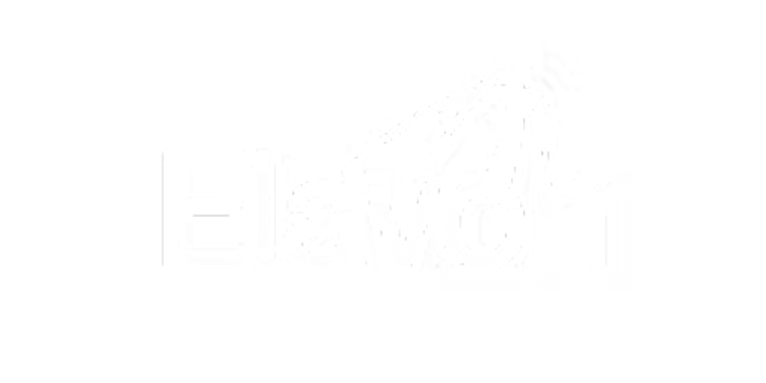 elavon