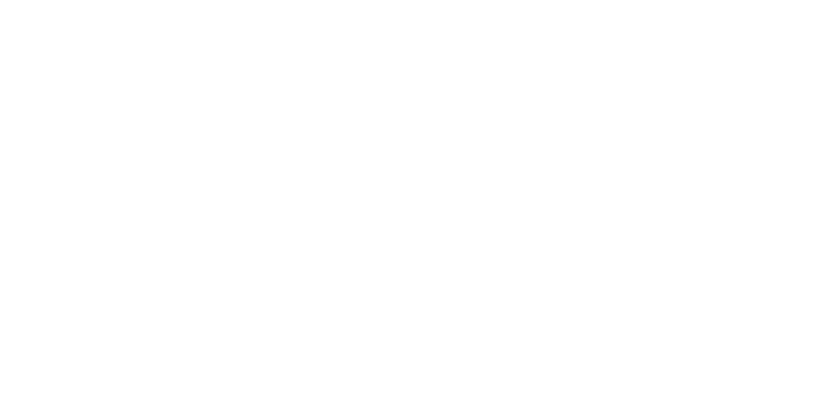 verifone
